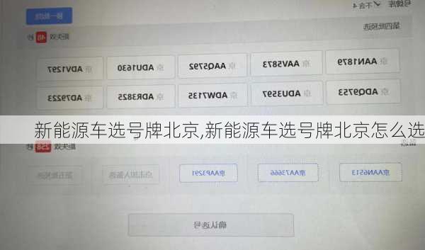 新能源车选号牌北京,新能源车选号牌北京怎么选-第3张图片-苏希特新能源