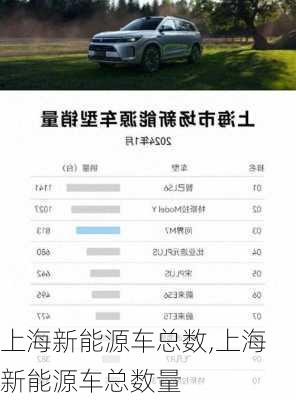 上海新能源车总数,上海新能源车总数量-第1张图片-苏希特新能源