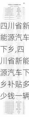 四川省新能源汽车下乡,四川省新能源汽车下乡补贴多少钱一辆-第1张图片-苏希特新能源