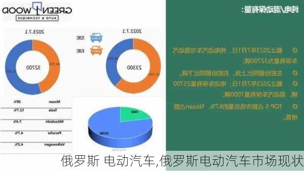 俄罗斯 电动汽车,俄罗斯电动汽车市场现状-第2张图片-苏希特新能源