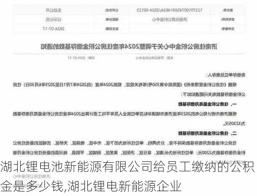 湖北锂电池新能源有限公司给员工缴纳的公积金是多少钱,湖北锂电新能源企业-第1张图片-苏希特新能源