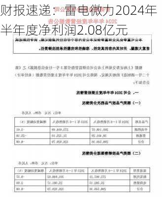 财报速递：雷电微力2024年半年度净利润2.08亿元