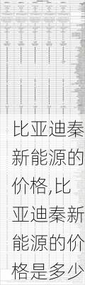 比亚迪秦新能源的价格,比亚迪秦新能源的价格是多少-第3张图片-苏希特新能源