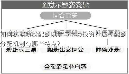 如何获取新股配额以参与市场投资？这种配额分配机制有哪些特点？-第2张图片-苏希特新能源