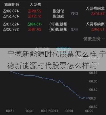 宁德新能源时代股票怎么样,宁德新能源时代股票怎么样啊-第2张图片-苏希特新能源