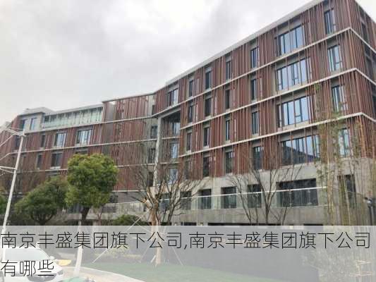 南京丰盛集团旗下公司,南京丰盛集团旗下公司有哪些-第1张图片-苏希特新能源