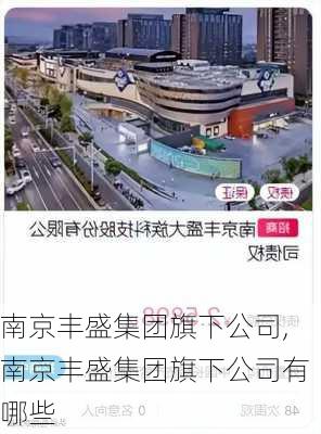 南京丰盛集团旗下公司,南京丰盛集团旗下公司有哪些-第3张图片-苏希特新能源