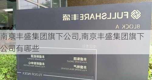 南京丰盛集团旗下公司,南京丰盛集团旗下公司有哪些-第2张图片-苏希特新能源