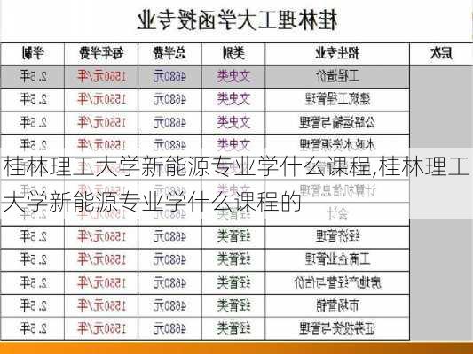 桂林理工大学新能源专业学什么课程,桂林理工大学新能源专业学什么课程的-第2张图片-苏希特新能源