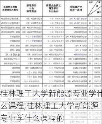 桂林理工大学新能源专业学什么课程,桂林理工大学新能源专业学什么课程的-第1张图片-苏希特新能源