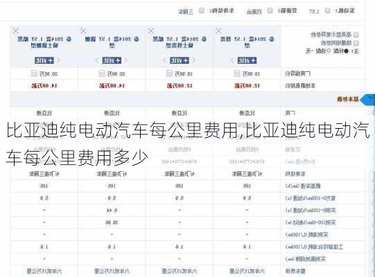 比亚迪纯电动汽车每公里费用,比亚迪纯电动汽车每公里费用多少