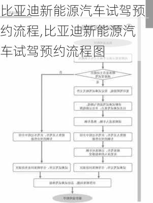 比亚迪新能源汽车试驾预约流程,比亚迪新能源汽车试驾预约流程图-第3张图片-苏希特新能源