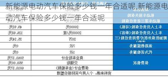 新能源电动汽车保险多少钱一年合适呢,新能源电动汽车保险多少钱一年合适呢