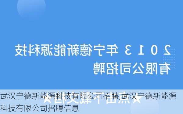 武汉宁德新能源科技有限公司招聘,武汉宁德新能源科技有限公司招聘信息