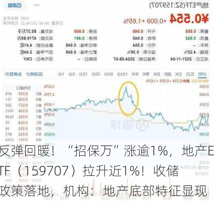 反弹回暖！“招保万”涨逾1%，地产ETF（159707）拉升近1%！收储政策落地，机构：地产底部特征显现-第2张图片-苏希特新能源