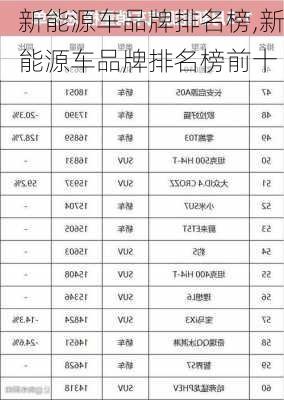 新能源车品牌排名榜,新能源车品牌排名榜前十-第2张图片-苏希特新能源