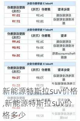 新能源特斯拉suv价格,新能源特斯拉suv价格多少-第2张图片-苏希特新能源