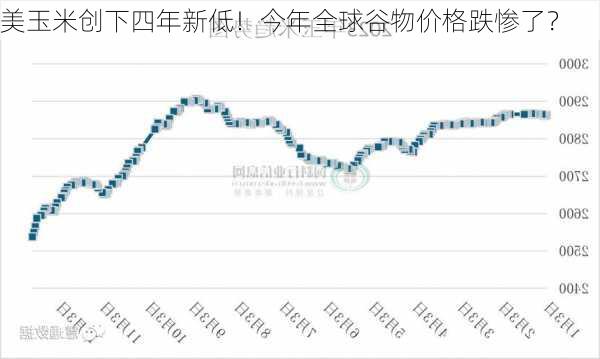 美玉米创下四年新低！今年全球谷物价格跌惨了？-第1张图片-苏希特新能源