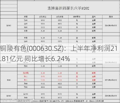 铜陵有色(000630.SZ)：上半年净利润21.81亿元 同比增长6.24%-第1张图片-苏希特新能源