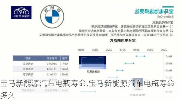 宝马新能源汽车电瓶寿命,宝马新能源汽车电瓶寿命多久-第2张图片-苏希特新能源