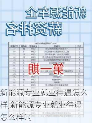 新能源专业就业待遇怎么样,新能源专业就业待遇怎么样啊-第2张图片-苏希特新能源