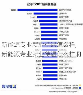 新能源专业就业待遇怎么样,新能源专业就业待遇怎么样啊-第3张图片-苏希特新能源