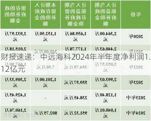 财报速递：中远海科2024年半年度净利润1.12亿元-第2张图片-苏希特新能源