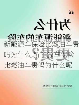 新能源车保险比燃油车贵吗为什么,新能源车保险比燃油车贵吗为什么呢-第1张图片-苏希特新能源