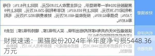 财报速递：黑猫股份2024年半年度净亏损5448.36万元