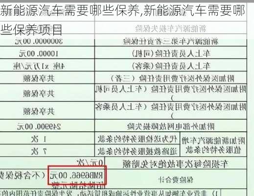 新能源汽车需要哪些保养,新能源汽车需要哪些保养项目-第2张图片-苏希特新能源