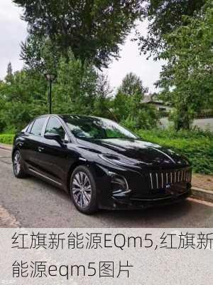 红旗新能源EQm5,红旗新能源eqm5图片