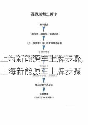 上海新能源车上牌步骤,上海新能源车上牌步骤-第2张图片-苏希特新能源