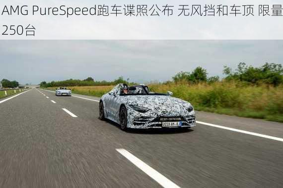 AMG PureSpeed跑车谍照公布 无风挡和车顶 限量250台-第3张图片-苏希特新能源