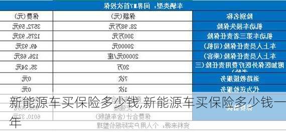 新能源车买保险多少钱,新能源车买保险多少钱一年-第2张图片-苏希特新能源