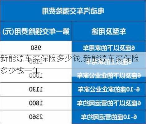 新能源车买保险多少钱,新能源车买保险多少钱一年-第3张图片-苏希特新能源