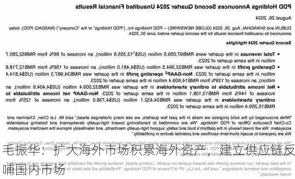 毛振华：扩大海外市场积累海外资产，建立供应链反哺国内市场-第3张图片-苏希特新能源