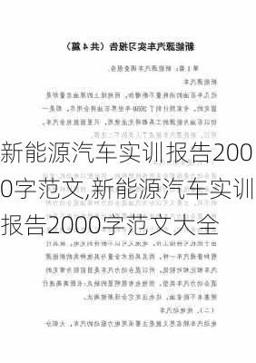 新能源汽车实训报告2000字范文,新能源汽车实训报告2000字范文大全-第1张图片-苏希特新能源