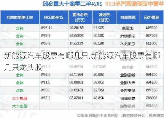 新能源汽车股票有哪几只,新能源汽车股票有哪几只龙头股-第2张图片-苏希特新能源