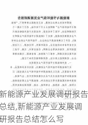 新能源产业发展调研报告总结,新能源产业发展调研报告总结怎么写-第1张图片-苏希特新能源