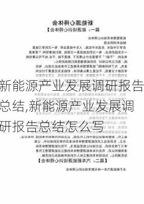 新能源产业发展调研报告总结,新能源产业发展调研报告总结怎么写-第3张图片-苏希特新能源