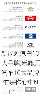 新能源汽车10大品牌,新能源汽车10大品牌,谁是你心中NO.1?