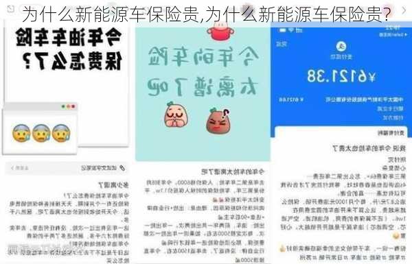 为什么新能源车保险贵,为什么新能源车保险贵?-第2张图片-苏希特新能源