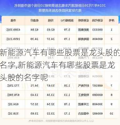 新能源汽车有哪些股票是龙头股的名字,新能源汽车有哪些股票是龙头股的名字呢-第1张图片-苏希特新能源