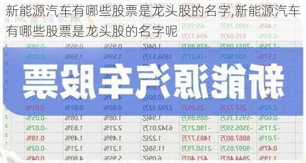 新能源汽车有哪些股票是龙头股的名字,新能源汽车有哪些股票是龙头股的名字呢-第2张图片-苏希特新能源