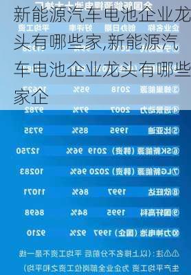 新能源汽车电池企业龙头有哪些家,新能源汽车电池企业龙头有哪些家企-第1张图片-苏希特新能源