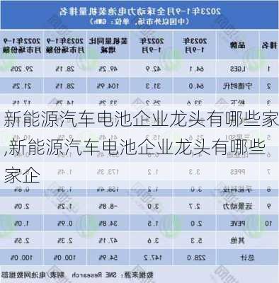 新能源汽车电池企业龙头有哪些家,新能源汽车电池企业龙头有哪些家企-第2张图片-苏希特新能源