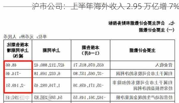 沪市公司：上半年海外收入 2.95 万亿增 7%-第1张图片-苏希特新能源