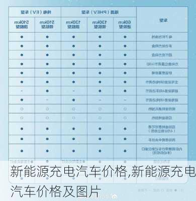 新能源充电汽车价格,新能源充电汽车价格及图片-第1张图片-苏希特新能源