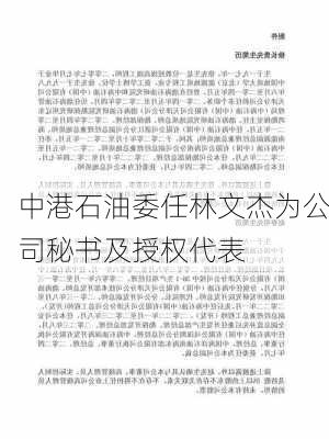 中港石油委任林文杰为公司秘书及授权代表-第1张图片-苏希特新能源