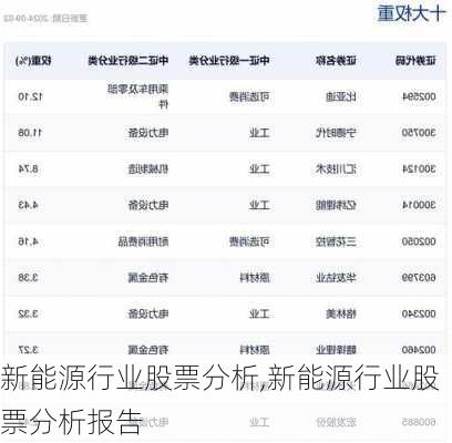 新能源行业股票分析,新能源行业股票分析报告-第2张图片-苏希特新能源